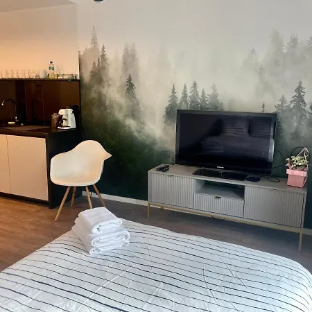 Plac Wolnosci 6 Airconditioning 아파트호텔 포즈난